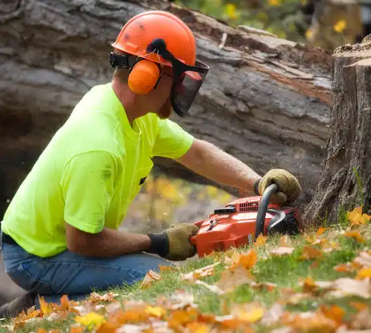 tree services Worcester